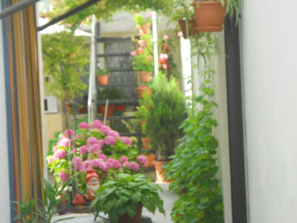 Ferienwohnung Dom Eli Pomorie Exterior foto